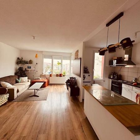 Bel Appartement Proche Mulhouse Pfastatt Bagian luar foto