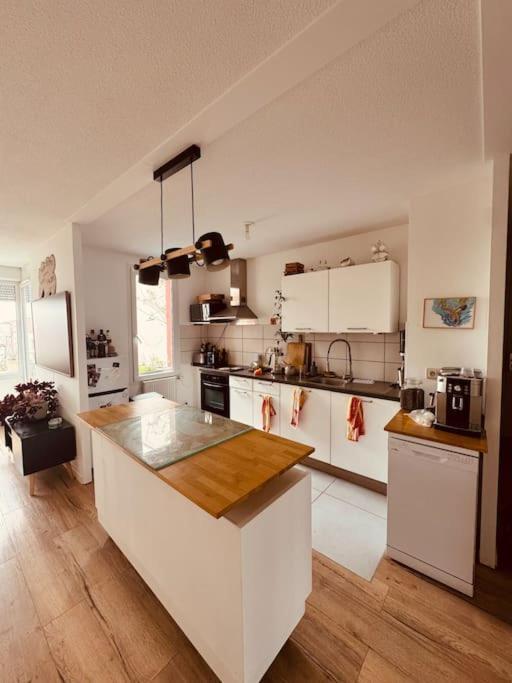 Bel Appartement Proche Mulhouse Pfastatt Bagian luar foto