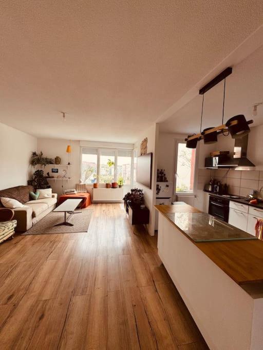 Bel Appartement Proche Mulhouse Pfastatt Bagian luar foto